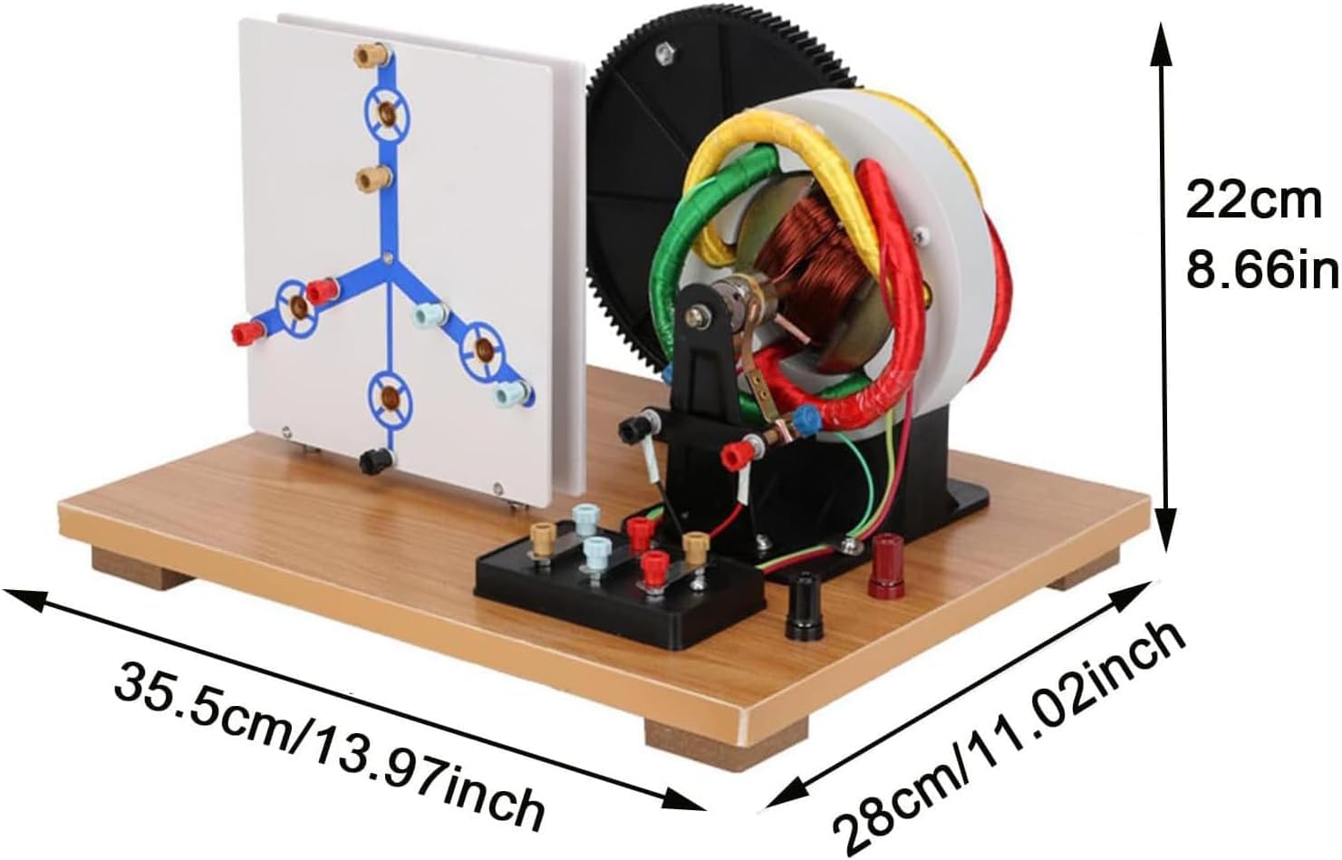 Modello Fisico Di Generatore Trifase Ca/cc A Manovella, Generatore Dinamo Fai-da-te A Scopo Didattico, Kit Per Esperimenti Di Fisica Per La Didattica In Laboratorio.