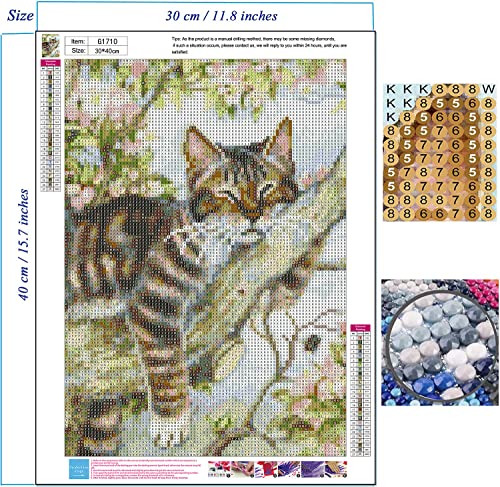 Mapoor Diamond Painting Cat- Full Drill Diamond Art,5d Diamond Painting Kits, Round Rhinestone - Image 3