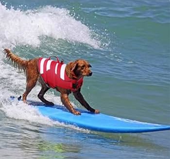 Kuoser Dog Life Jacket, High Flotation Dog Life Vest For Swimming Boating