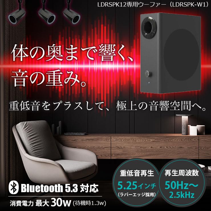 Amazon.co.jp: ビームテック（Beamtec） ウーファー スピーカー