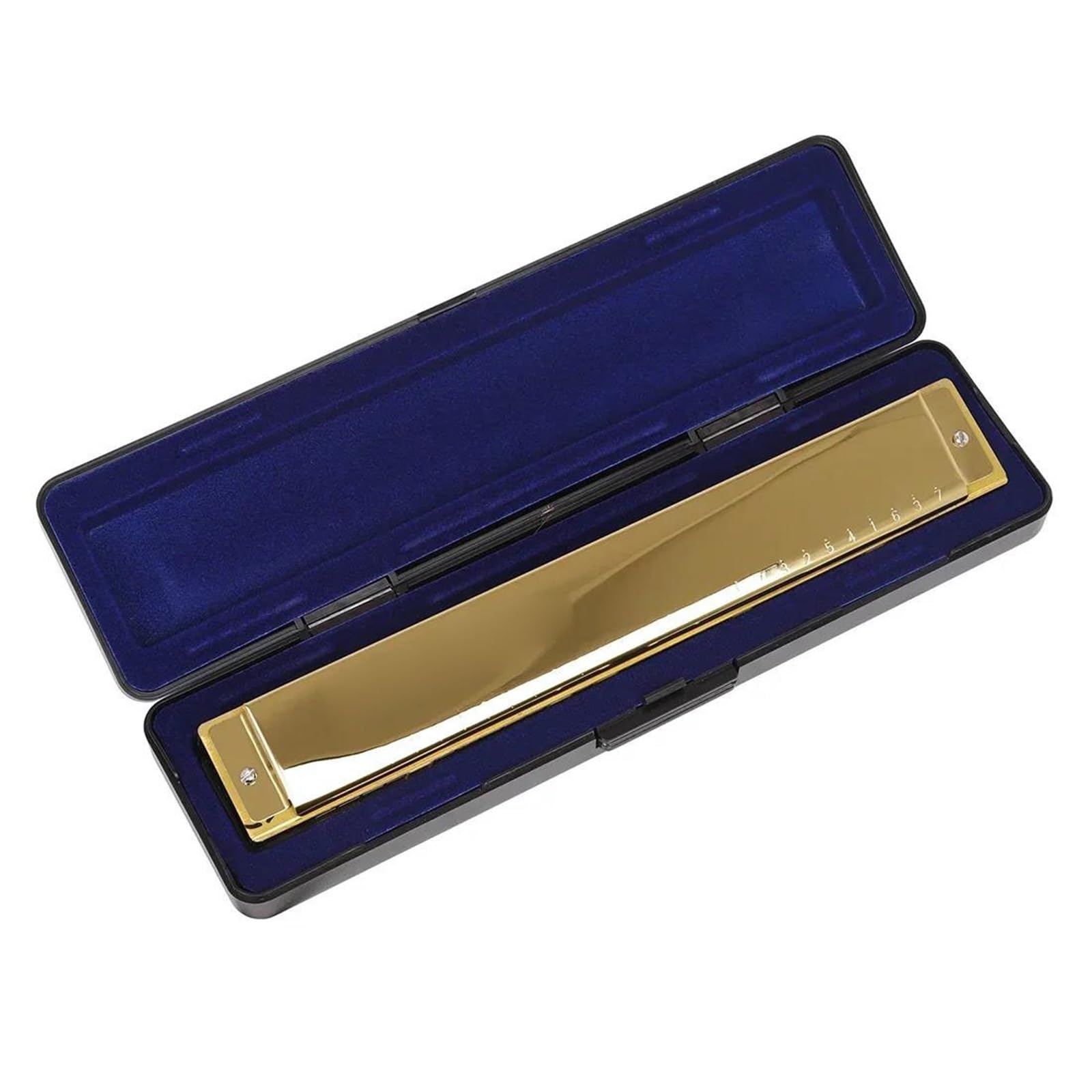 Armonica Blues Armonica A 28 Fori C Professionale | Armonica a 28 buche Polifonia Accento C Principianti Strumenti a fiato professionali(Gold)