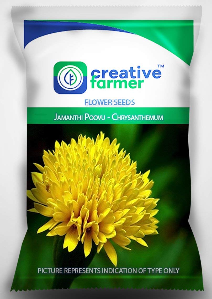 OhhSome Jamanthi Poovu - Chrysanthemum Seeds for Home Garden-50 Seeds - Eco" (B07YP79GV8) Amazon Price History, Amazon Price Tracker