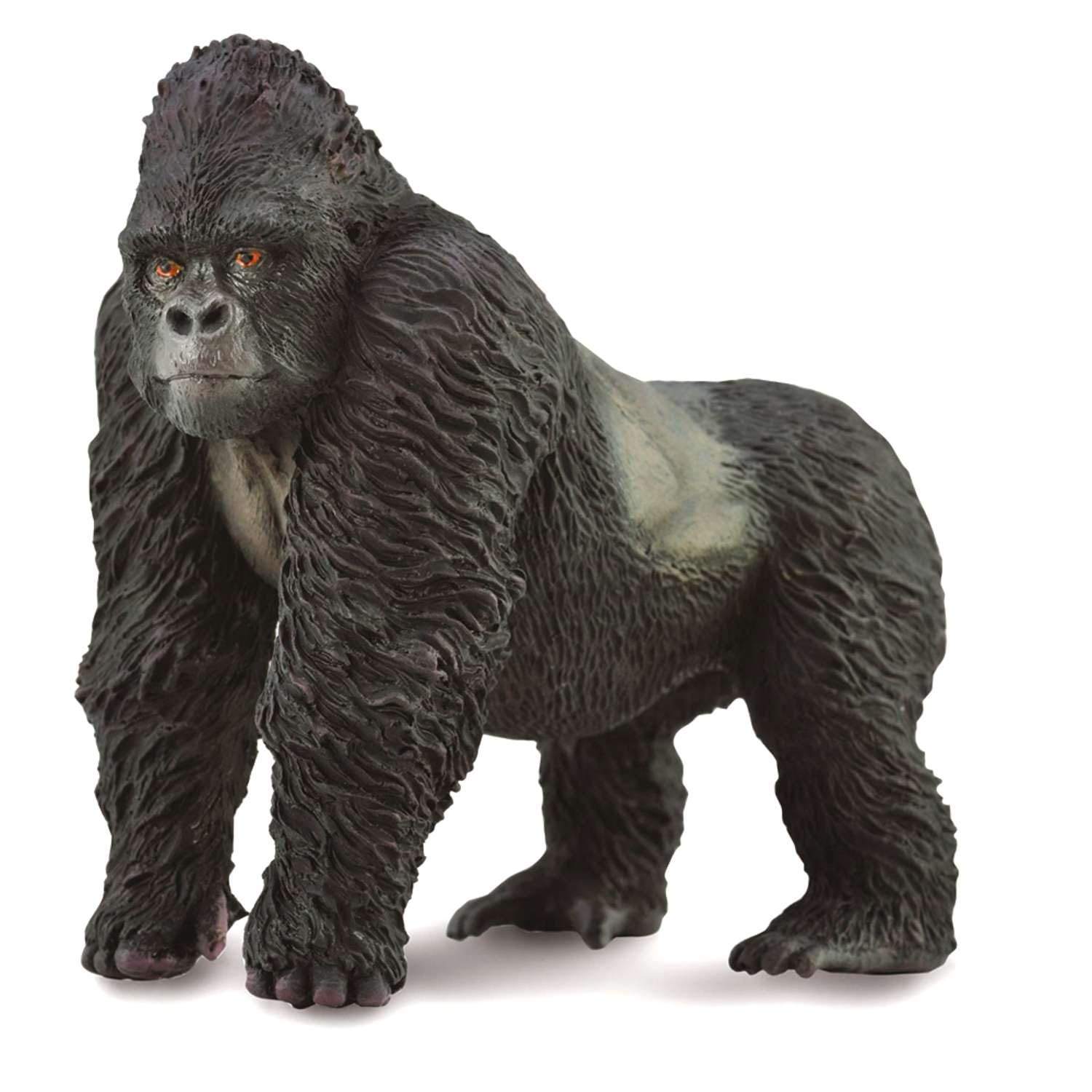 ★ゴリラ　全5枚 Amazon.co.jp: COLLECTA 動物フィギュア マウンテンゴリラ 88899