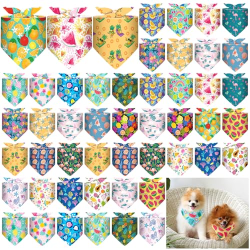 Sanwuta 48 po_i oN T}[XJ[t \ t~S p悾ꂩ ߉\ \ J[`[t q o_i K͂ёK̓p[eB[p ybg o_i nJ` nC r[` XJ[t ANZT[