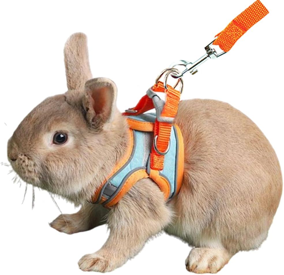 Anelekor Bunny Harness and Leash Set Reflective Strip
