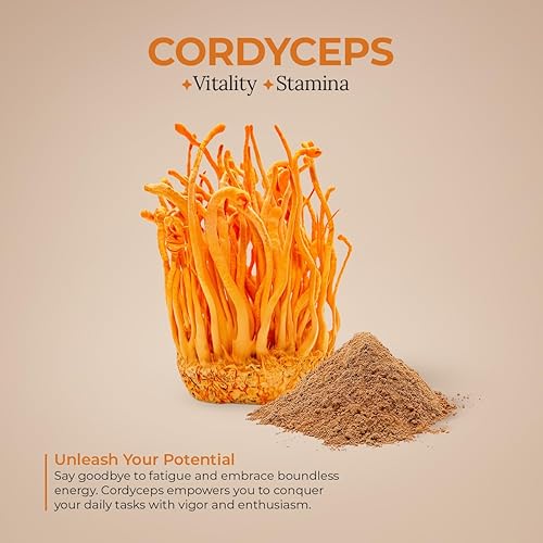 Miniatura 3 de CORDYCEPS Extracto de hongos en polvo (7.05 oz)
