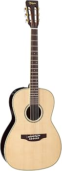 Amazon.co.jp: Takamine PTU441 N エレアコギター 400シリーズ