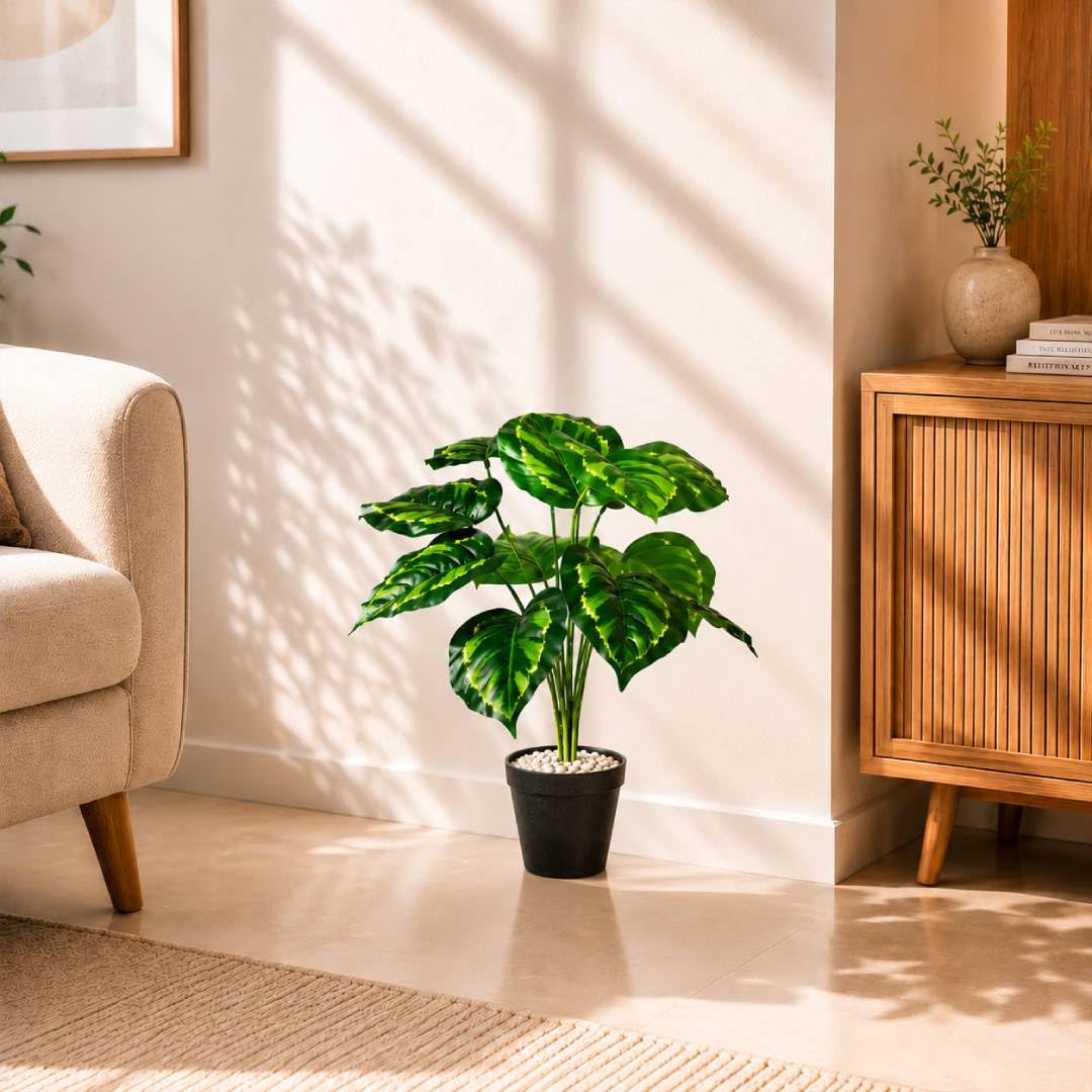 Blooming Floret Dieffenbachia Plant - Artificial Tropical Decor -8