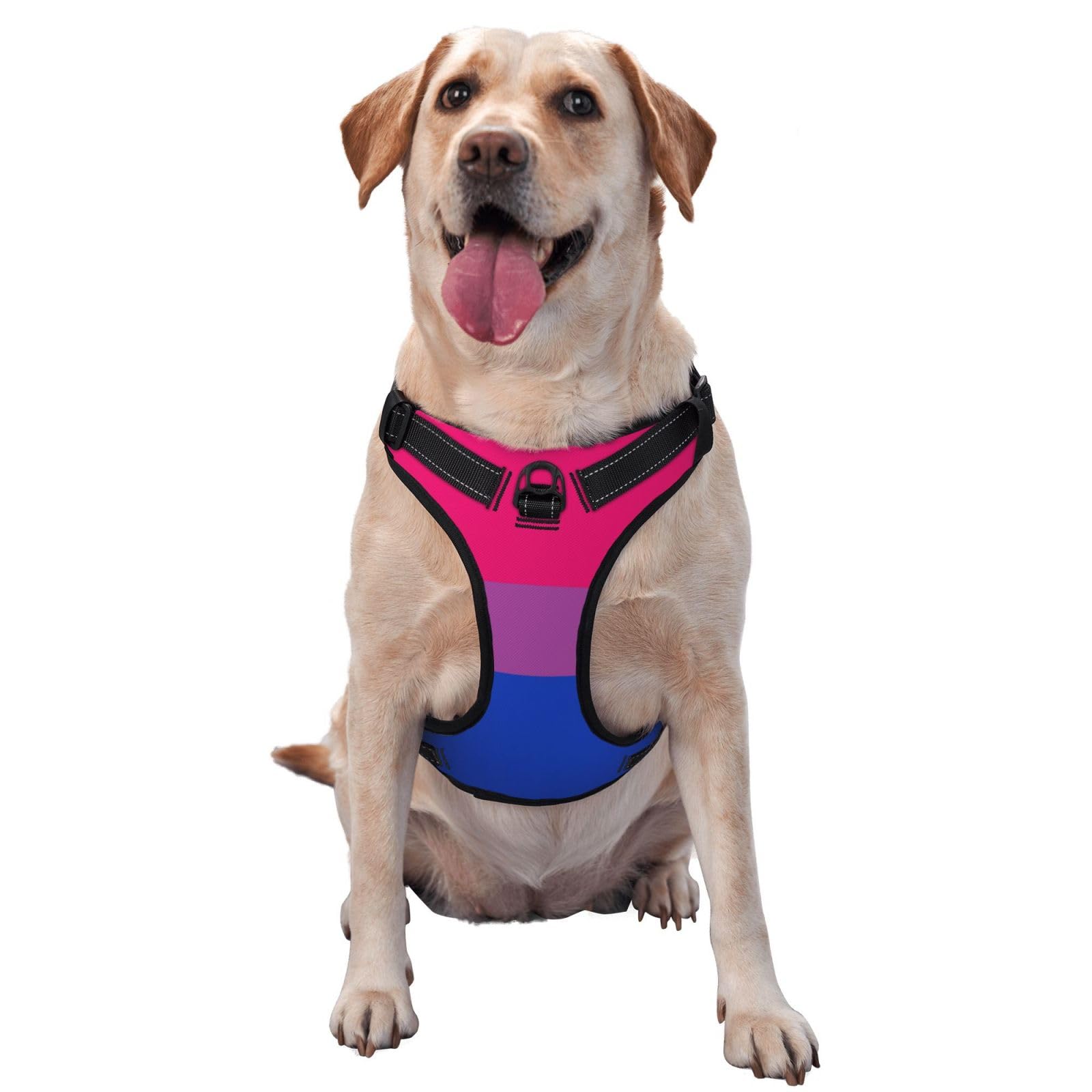 Breathable Bisexual Pride Flag Stripes Dog Harness No Choke for Outdoor Walking, No Pull Dog Harness Soft Padded Dog Vest