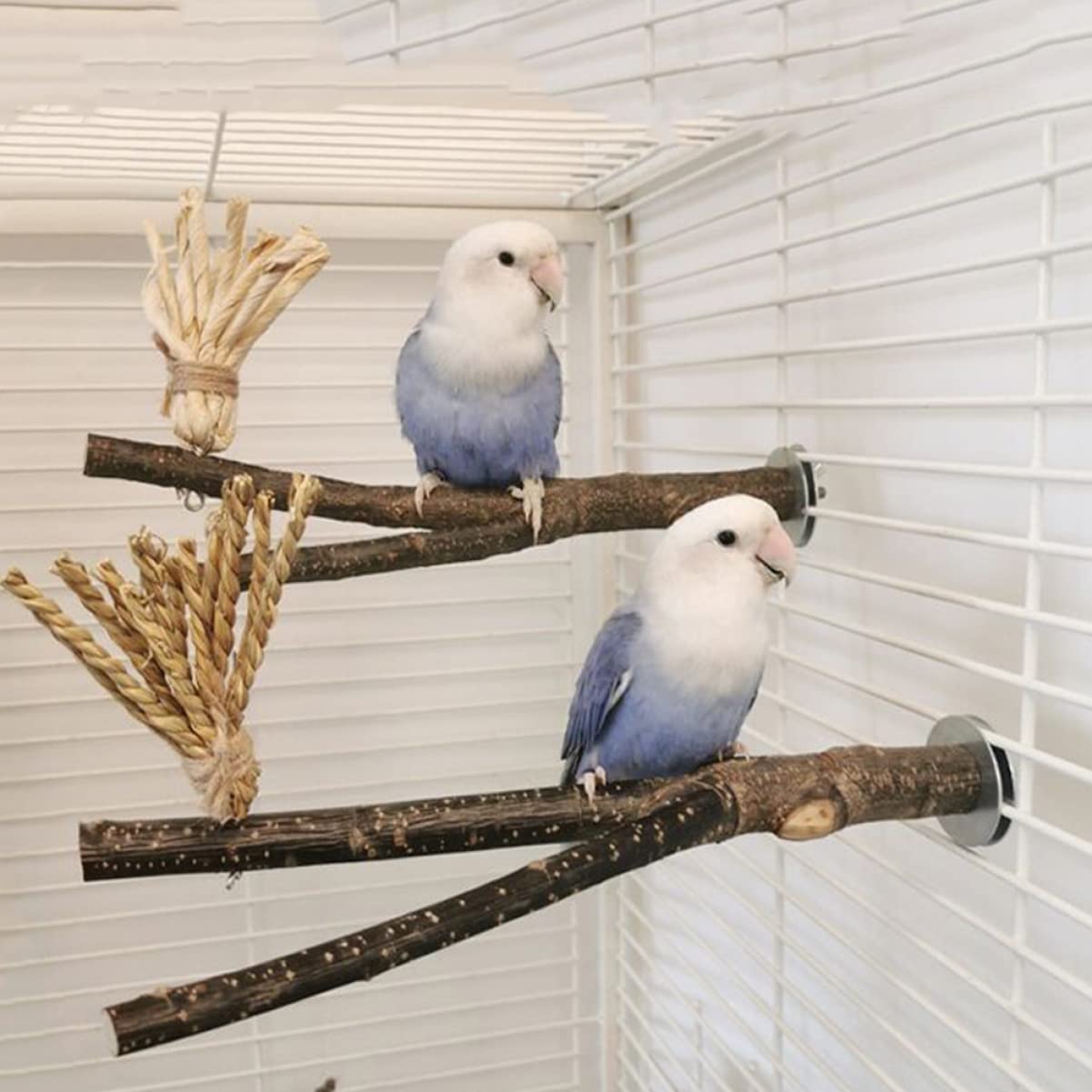 minkissy 5stücke Vogelspielzeug Aus Naturholz Kauspielzeug Für Papageien Und Wellensittiche Mit Natürlichem Astdesign Robust Und - Für Vogelkäfig Zubehör Fördert Spiel Und
