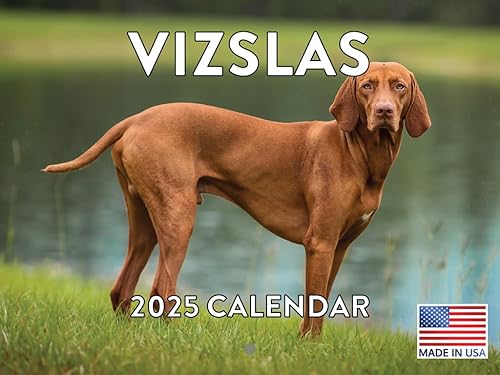 Vista 425 de Calendario Goldendoodle 2026 Golden Doodle mensual de pared calendario de 12 meses Fabricado en Estados Unidos