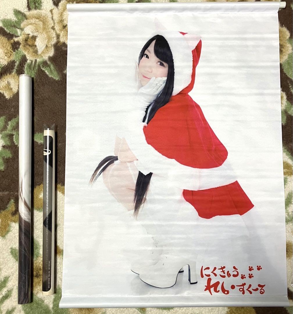 Amazon.co.jp: Ray アニソン歌手 ポスター タペストリー 中山怜香 木