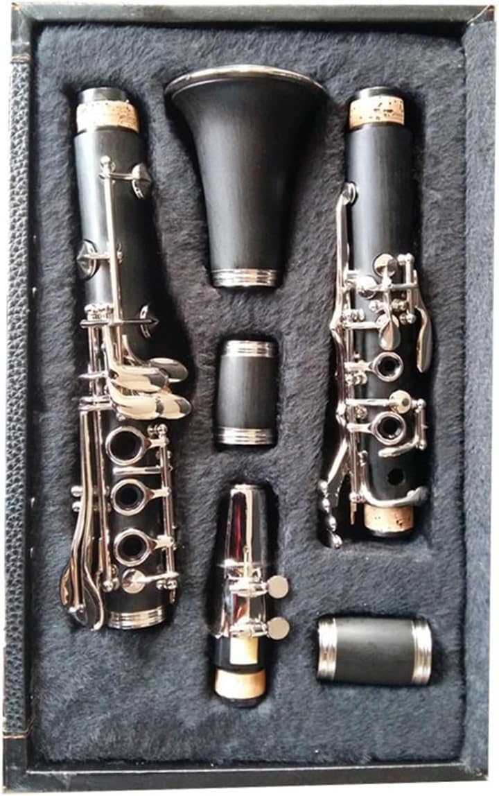 clarinet for Beginner Clarinet professional performance instrument