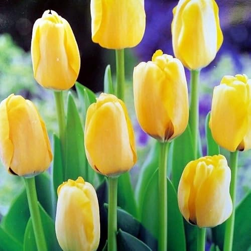 `[bv  F 3Zbg HA  R쑐 h 241007