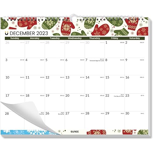 SUNEE 2024 Wall Calendar, Now to June 2025, Hanging Monthly Calendar with Lines,14.5 x 11.5, Seasonal