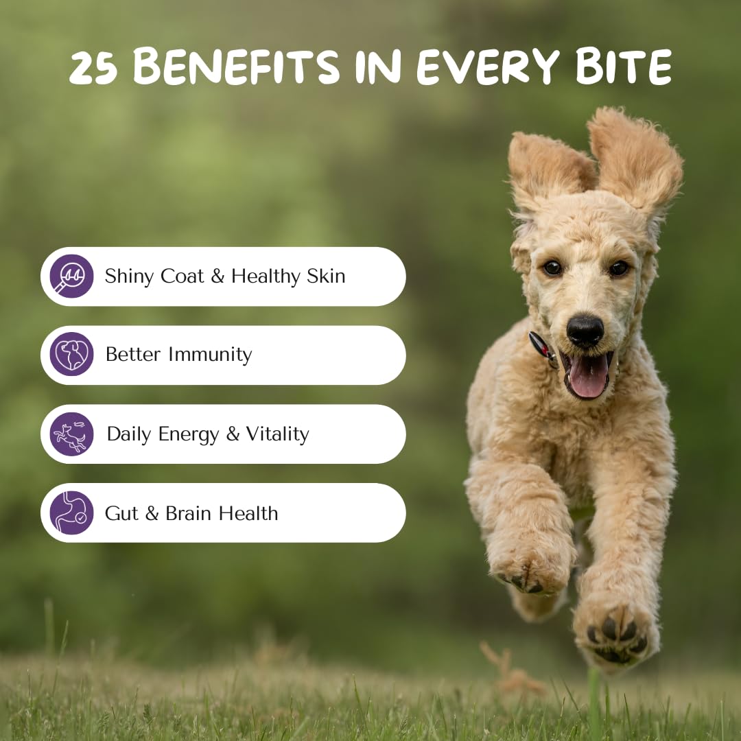 Cuddl 25-in-1 Dog Supplement | Multivitamin Chews for Joints, Bones, Gut, Skin, Immunity | Vitamins, Minerals, Calcium, Biotin, Choline | No Fillers or Preservatives | All Ages — Amazon image 3