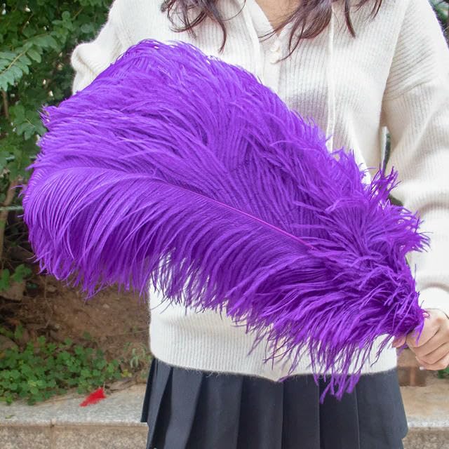 TUITA 10pcs White Large Ostrich Feather 15-55cm for Wedding Party Carnival Decoration Natural Ostrich Feathers Crafts DIY Accessories — image 1