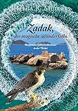 Cover zum Buch Zadak. Der magische Wanderfalke: Benj...
