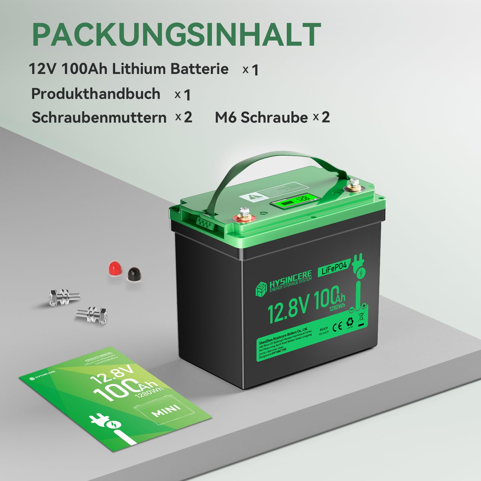 12V LiFePO4 100Ah Batterie Mini mit LED, Lithium Aufbau Batterie mit 100A BMS Low Temperature Schutz, IP65 wasserdicht, bis zu 15000 Zyklen, 12V Akku für Wohnmobil, Solaranlagen, Marine
