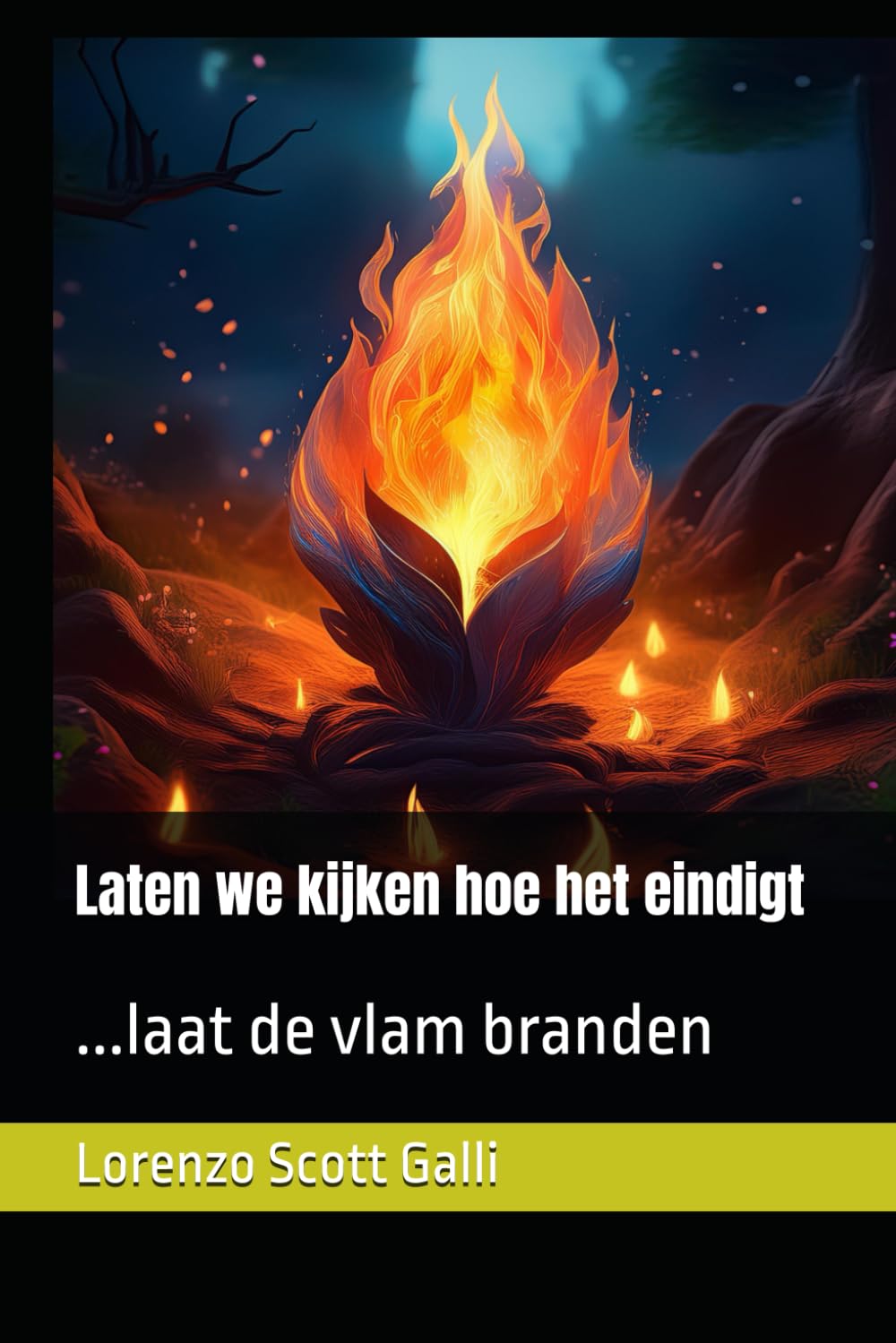 Laten we kijken hoe het eindigt: ...laat de vlam branden