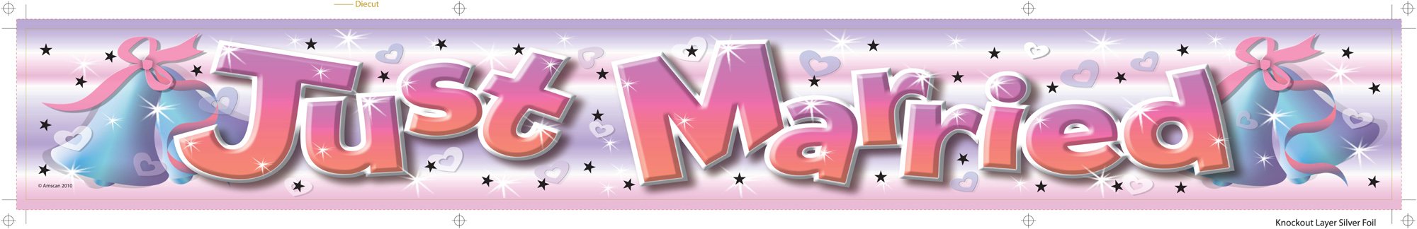 „Just Married“ Folien-Banner – 3,63 M Lang, Perfekt Für Hochzeitsfeiern & Partys