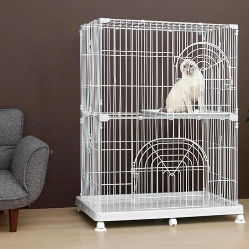 L P[W 2i LX^[t LbgP[W Vv ybgP[W Lp lR ybgT[N Xebv X ylbgzzCg