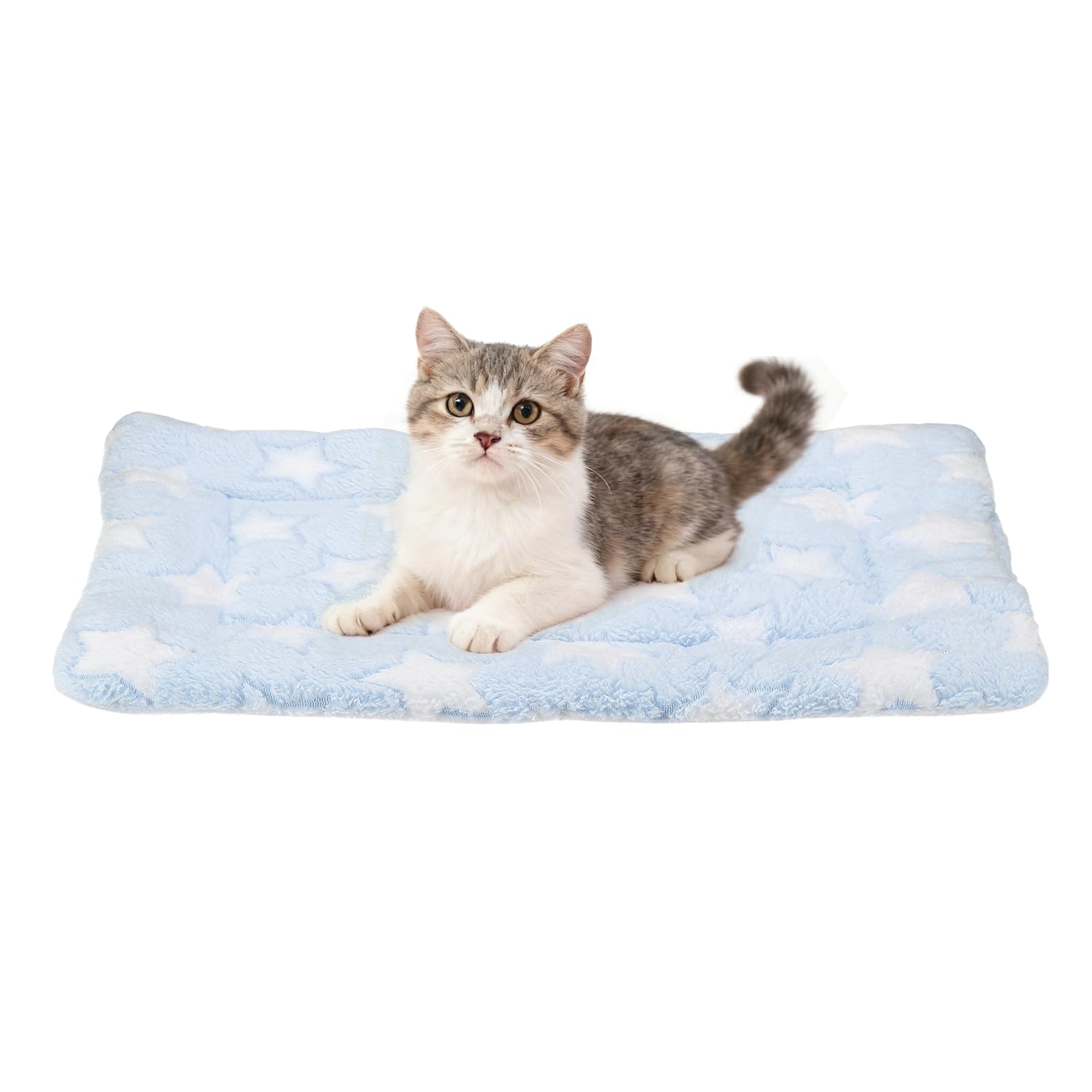 sourcing map Dog Cat Bed Mat, Soft Coral Fleece Pet Cushion Pad with Cute Stars Print, Warm Washable Pet Bed 19x13 Inches, (Blue), Intended for Medium Small Dog Cat