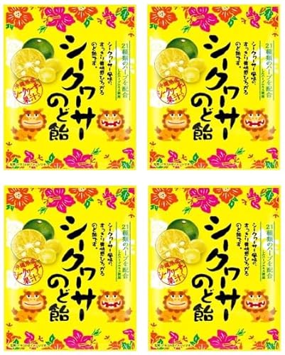   V[N[T[̂ǈ 58g y4܃Zbgz