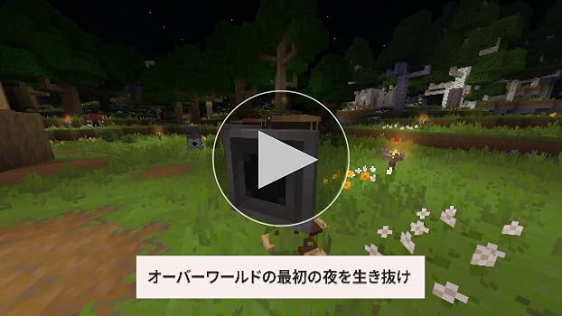 Amazon.co.jp: Windows版 | Minecraft (マインクラフト): Java