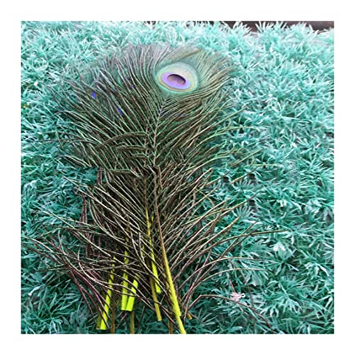 Plume de paon vert queue pour décoration de table de fête et art de la table