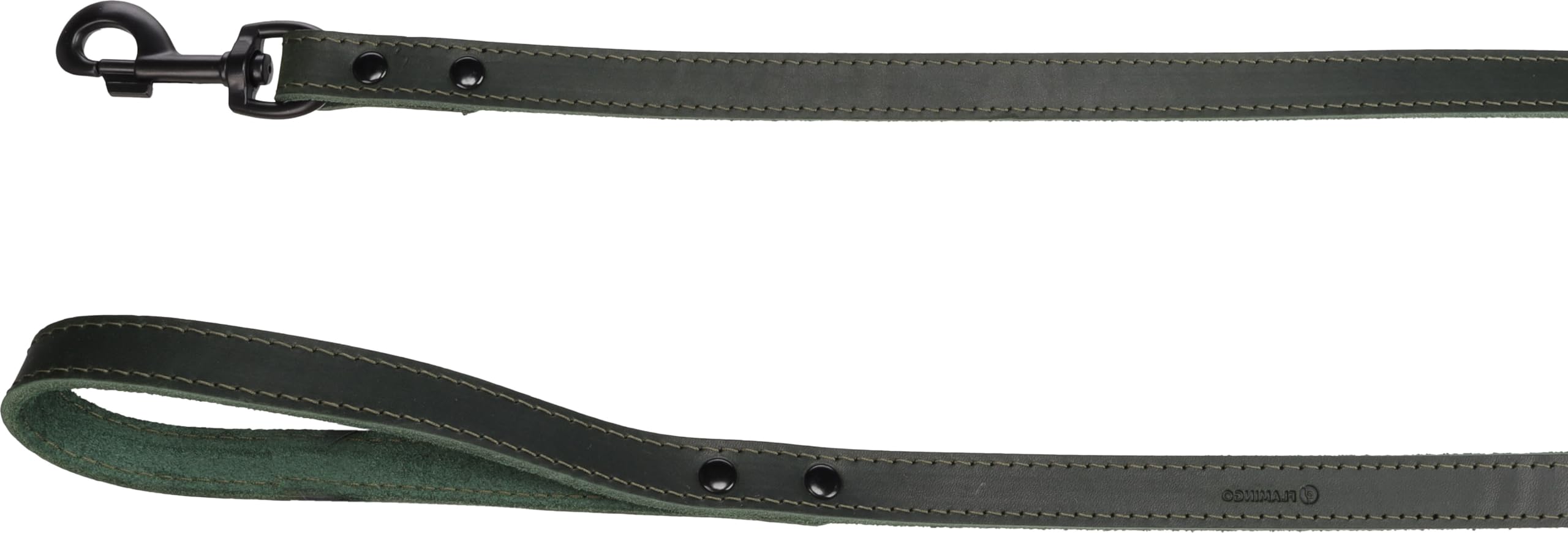 Chien laisse Montana vert 1,3m sangle 20mm accessoire promenade nylon