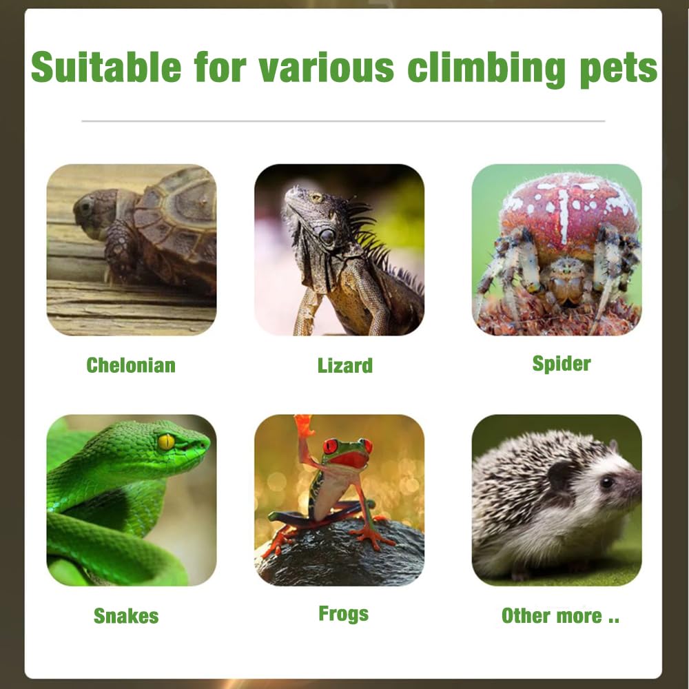 Lámpara para Tortuga, Lámpara de Calor de Reptil, Luz Caliente para Tortugas con Clip con Interruptor de temporizador y 2 lampadine da 25W 50W para Reptiles y Anfibios