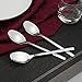 Fiazony 12-Piece Stainless Steel Teaspoon Dessert Spoons