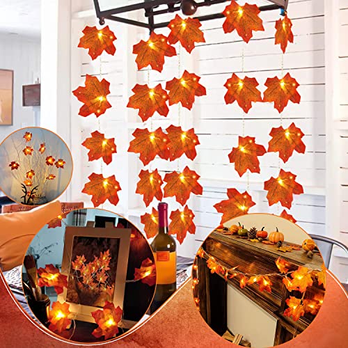 Bigzom 3M Luces de hadas de hojas de arce, 20 luces LED de hadas de otoño Guirnalda de hojas de arce Decoración de Guirnalda de lucespara Acción de Gracias, Halloween, Navidad, fiesta Cover
