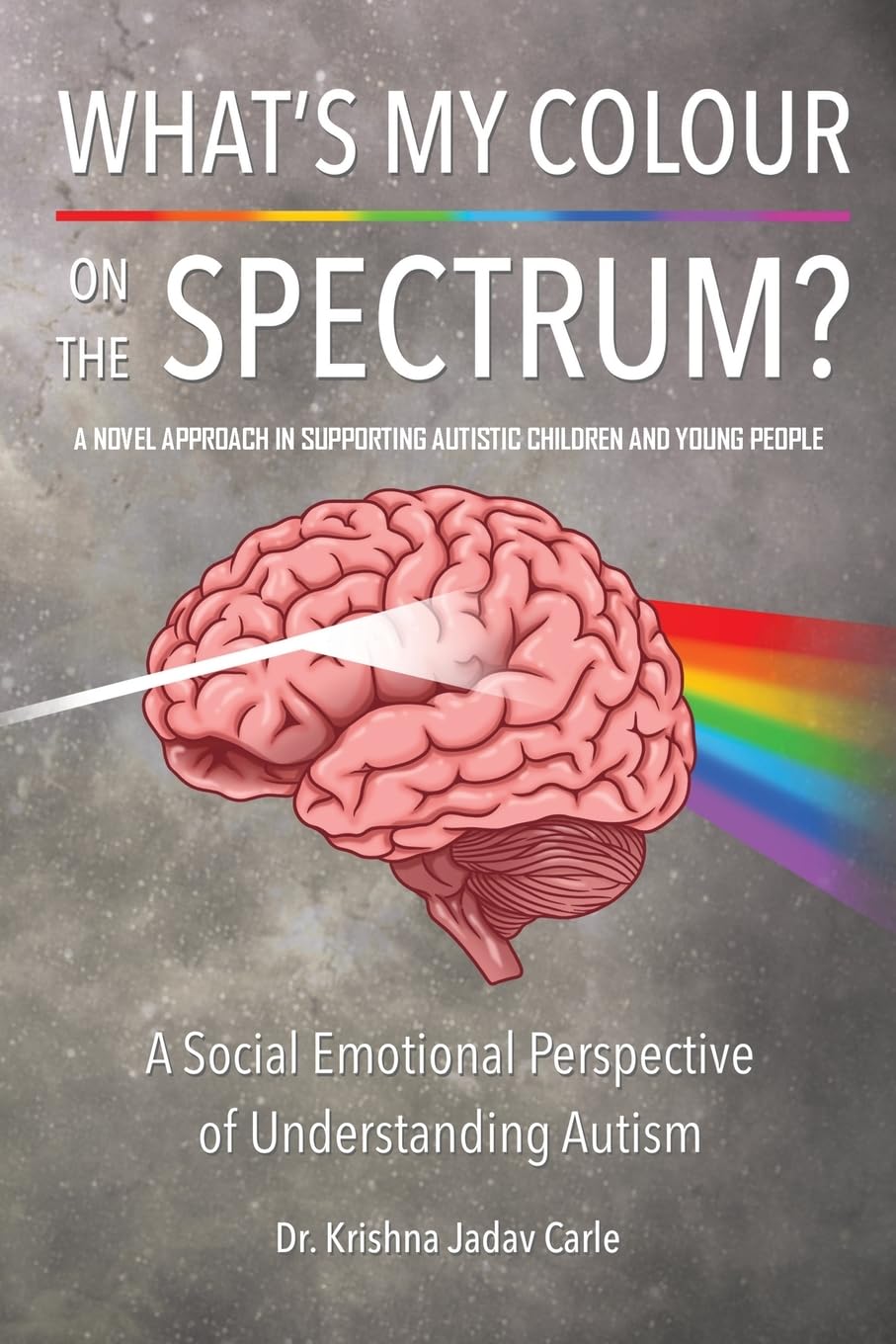 What's My Colour On The Spectrum?: A novel approach in supporting autistic children and young people