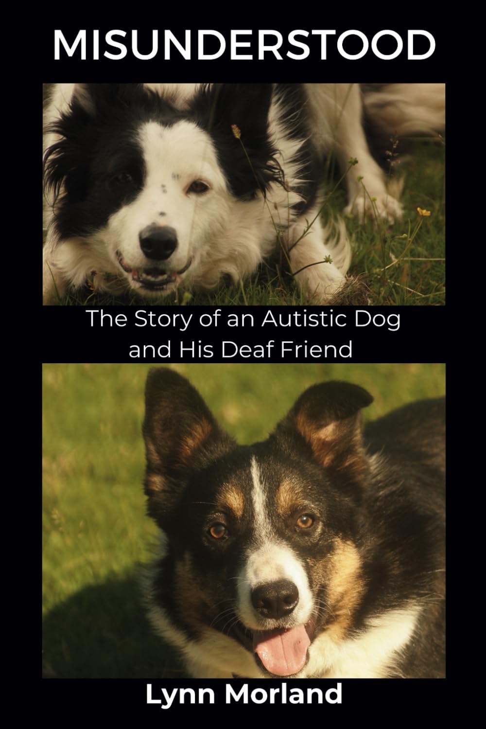 Misunderstood: The Story of an Autistic Dog and His Deaf Friend