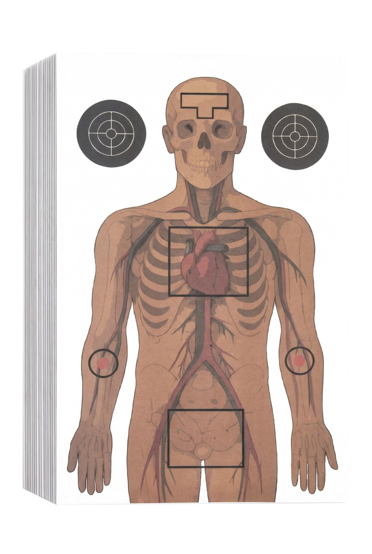 Anatomical Shooting Targets for The Range - 50 Pack 14 x 22 Anatomy Paper Silhouette Targeting for Pistol, Rifle, Airgun, Pellet Gun, BB & Pellet Shooting Practice
