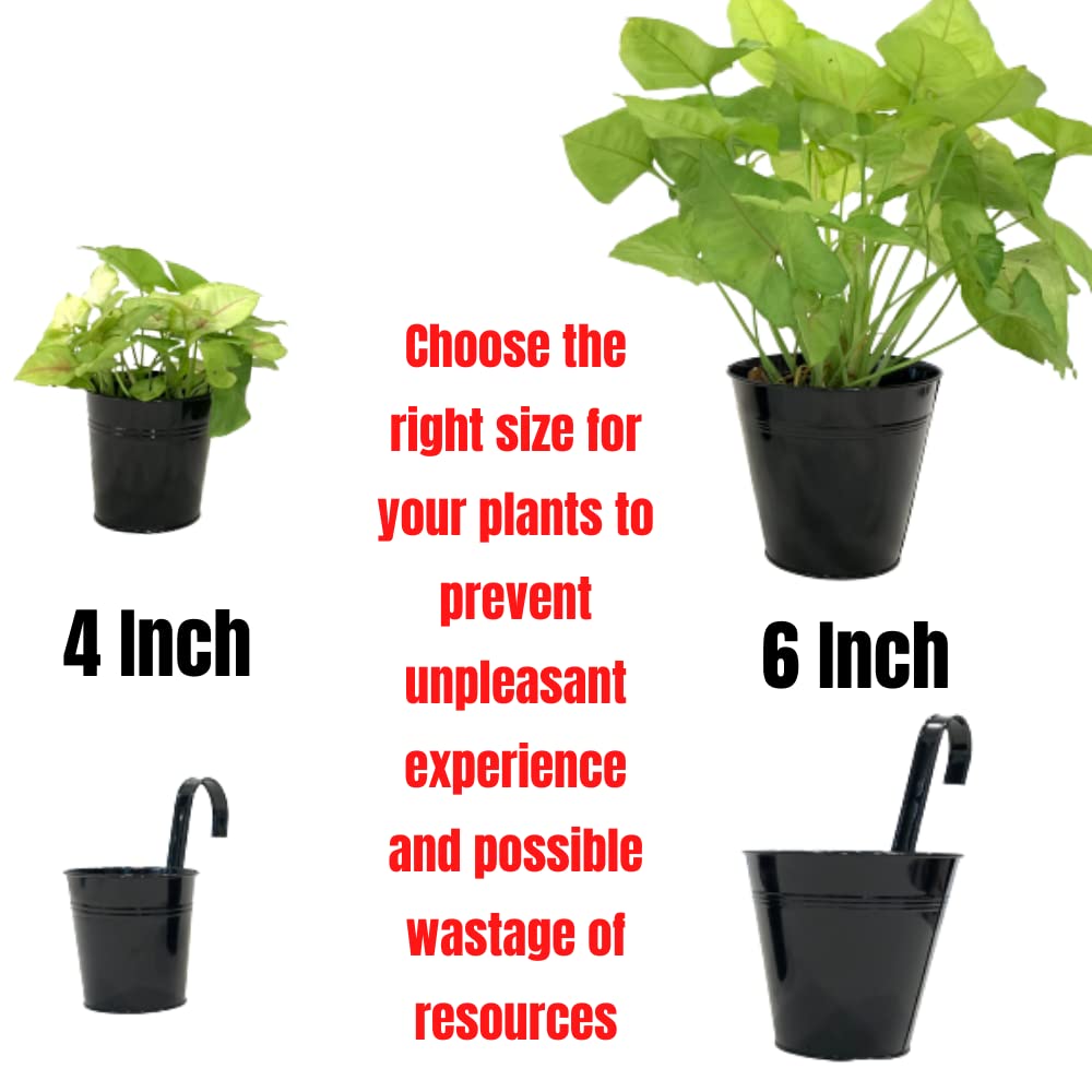 LaLaGreen Lot de 10 Pots de Fleurs Suspendus de 15,2 cm, Grand Seau en métal pour extérieur, Balcon, Jardin, terrasse, Porche, Patio, Rail décoratif, Crochet de Suspension pour Balcon, Ferme, Balcon