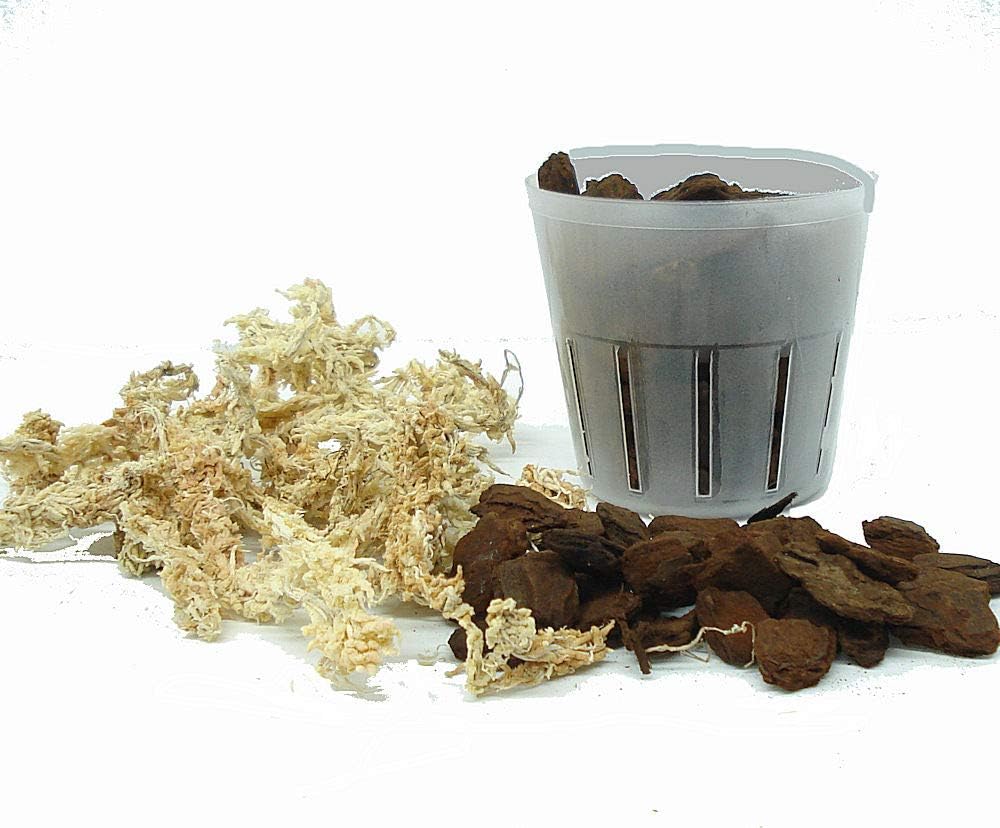 All in One, Everything Needed to Repot Your Orchid - Extra Large Bark - 3 inch Pot - Please Choose Bark & Pot Size