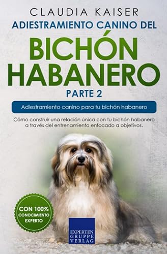 Adiestramiento canino del bichón habanero parte 2: Cómo construir una relación única con tu bichón habanero a través del entrenamiento enfocado a objetivos