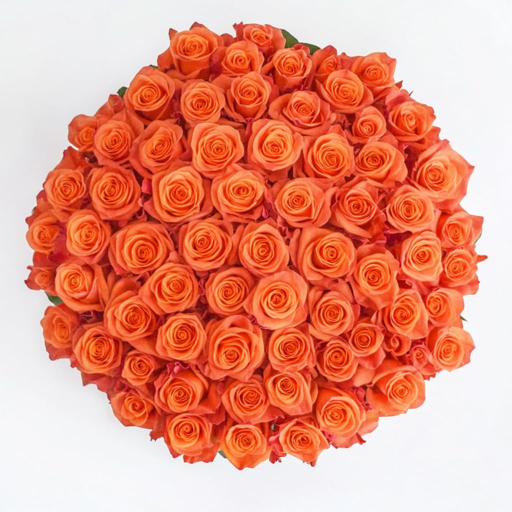 GlobalRose 100 Orange Roses Bouquet - Responsibly Sourced Roses Fresh Flowers - Hand-Picked Flowers Fresh Bouquet for Graduation, Anniversary, Birthday & Special Occasions (4 Bunches of 25 Stems)