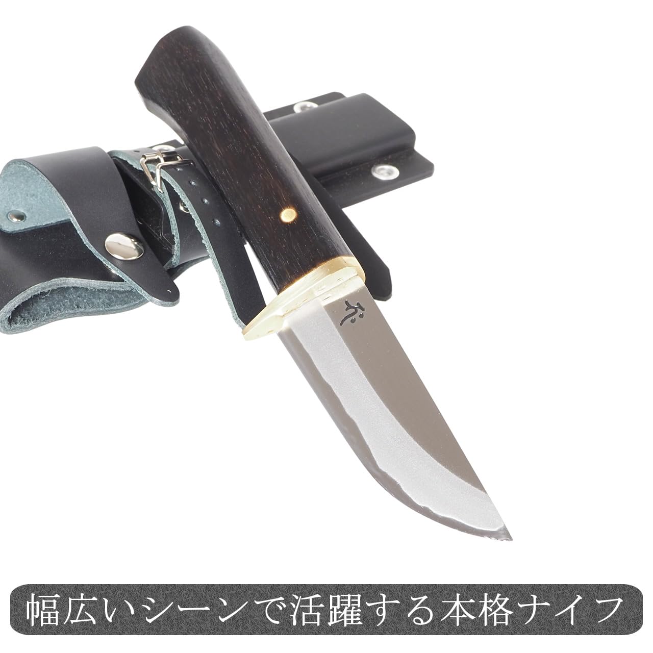 Amazon.co.jp: レッドオルカ アウトドアナイフ 騒速 青鋼 redorca+1 