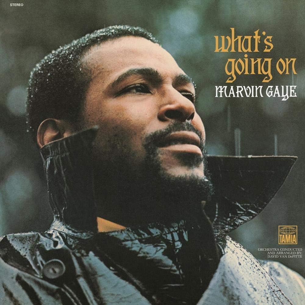 What's Going on -Hq- [12 inch Analog]