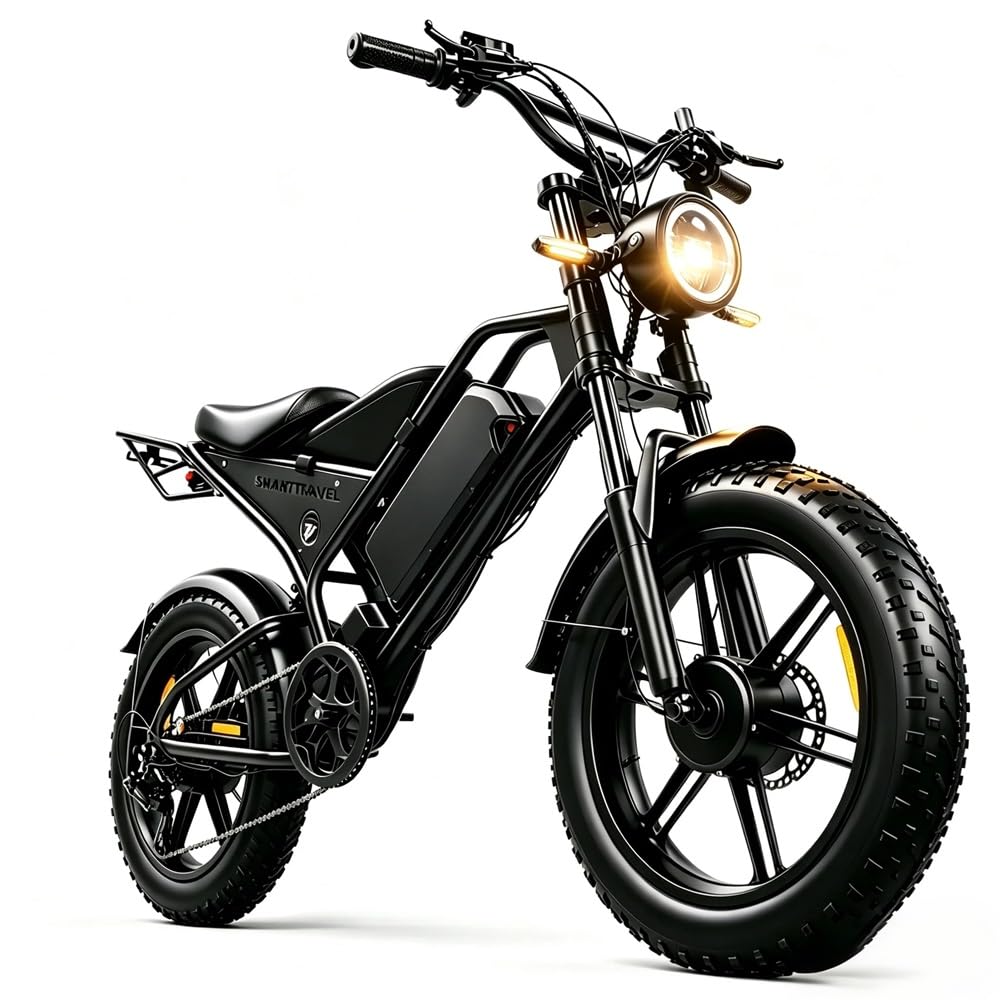 La bici elettrica DK400Max è dotata di due motori, una batteria rimovibile da 48 V 20Ah e pneumatici fuoristrada a sospensione completa da 20×4 pollici, che la rendono adatta a tutti i tipi di terr