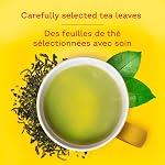 Lipton Yellow Label Classic Pure Green Tea - 100 Count (Pack of 1), Refreshing and Uplifting, 100% Rainforest Alliance Certified, Caffeinated, Enjoy Hot or Iced