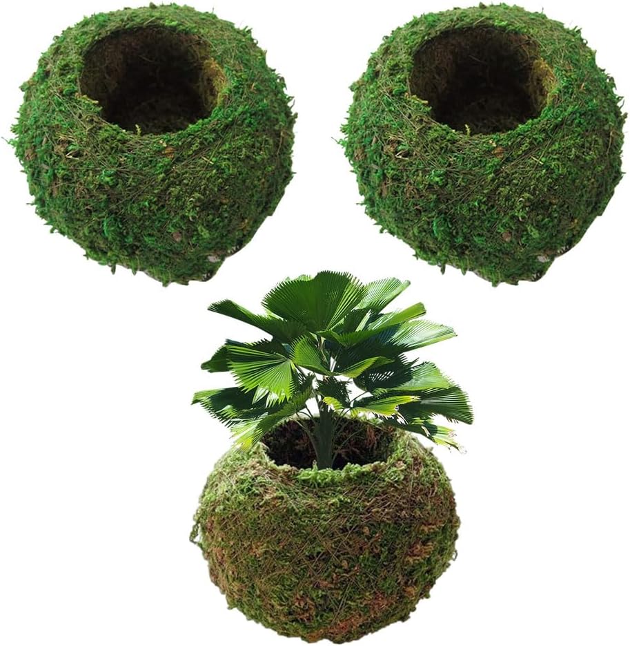 Paquete de 3 macetas con bolas de musgo, macetero natural de 7 pulgadas, soporte para plantas bonsái, nido de pájaros para bricolaje, jardinería, decoración de mesa del hogar, macetero con bolas de musgo tejido, macetas hidratantes en macetas para plantas de jardín