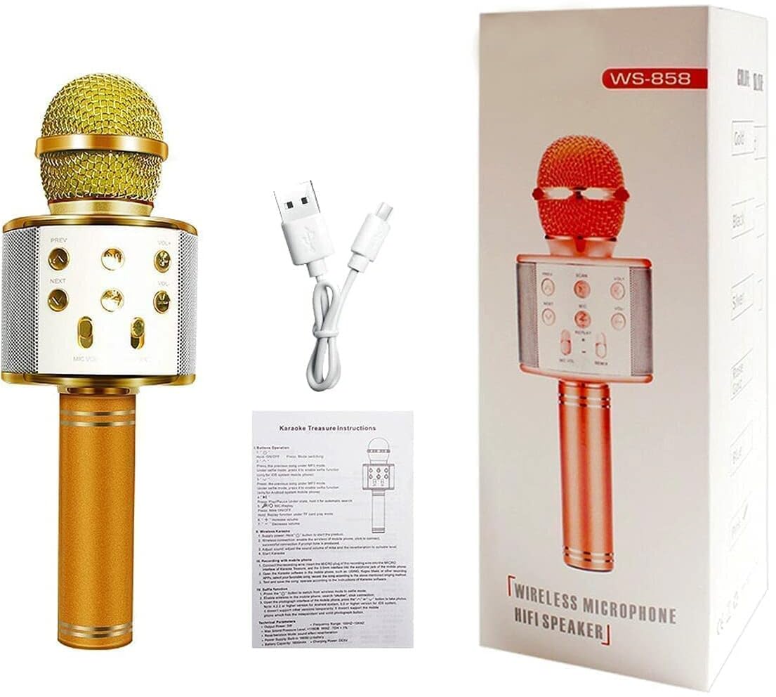 SSN Global WS858 Wireless Handheld Bluetooth Mic with Speaker Audio