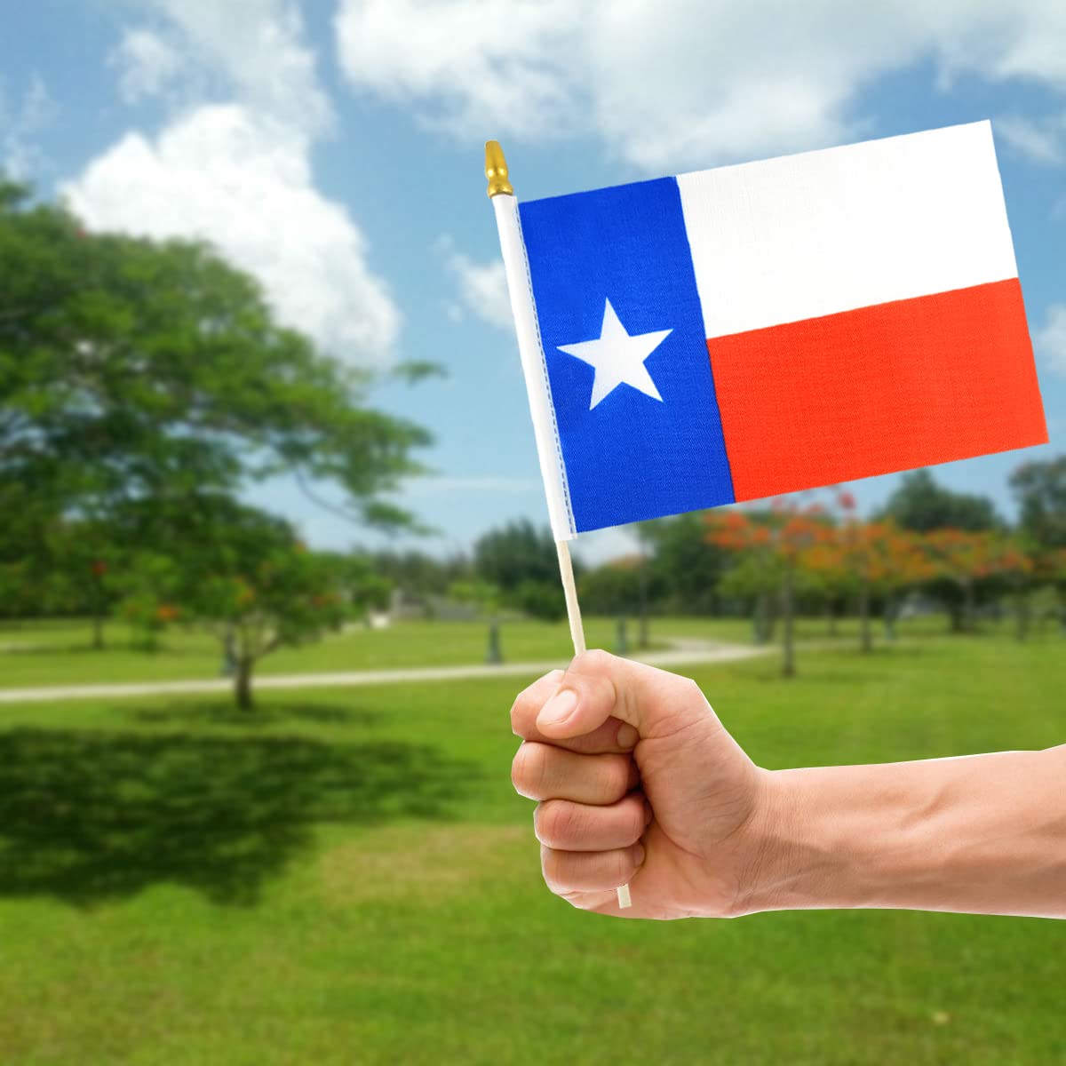 12 Stück Texas Flaggen Auf Holzstab | 20x30 Cm | Schwarz-Weiß Kariert | Für Rennparty & Deko