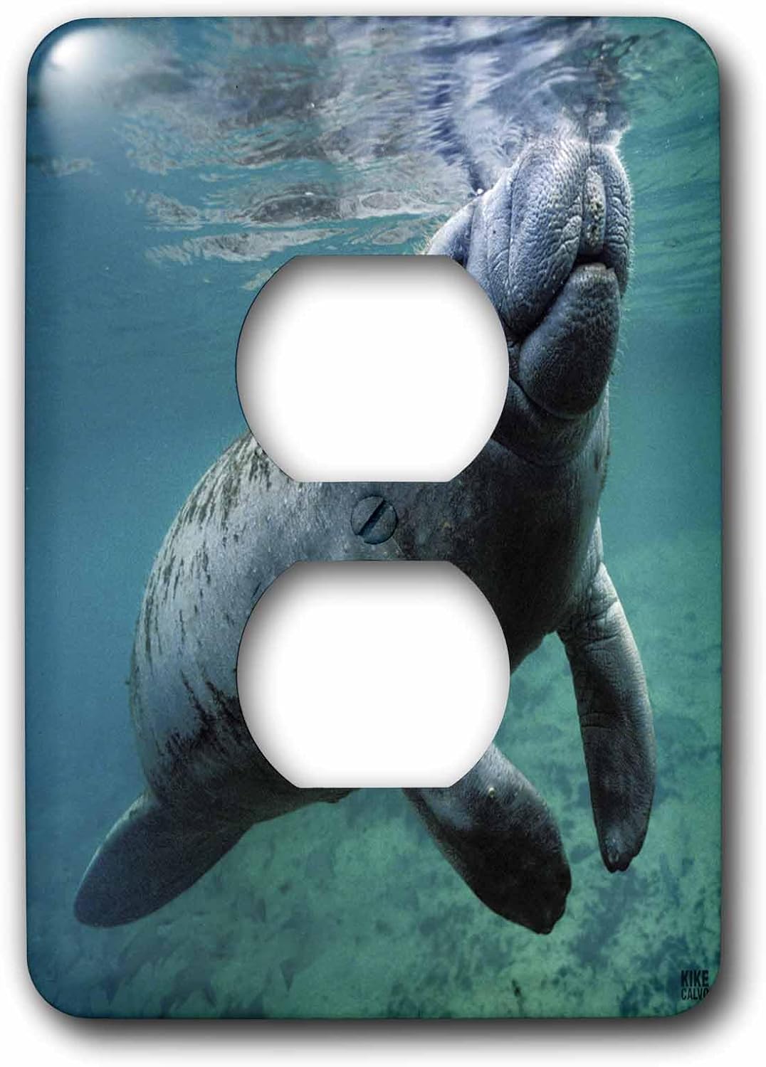 3dRose West Indian Manatee Trichechus manatus 2 plug outlet cover