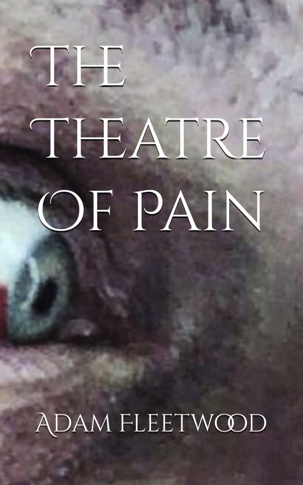 The Theatre Of Pain